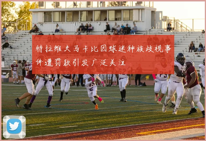 特拉维夫马卡比因球迷种族歧视事件遭罚款引发广泛关注